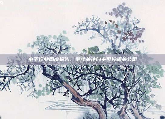 电子行业周度报告:继续关注自主可控相关公司