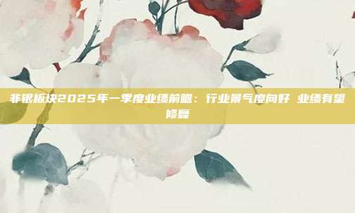 非银板块2025年一季度业绩前瞻:行业景气度向好 业绩有望修复