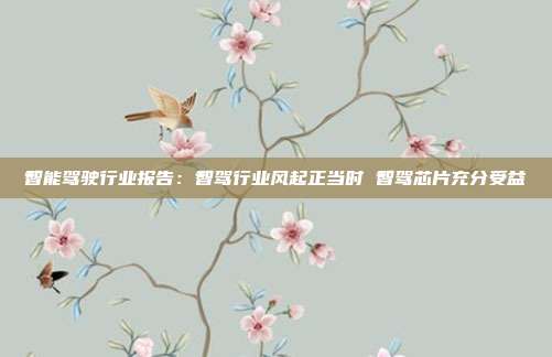 智能驾驶行业报告:智驾行业风起正当时 智驾芯片充分受益