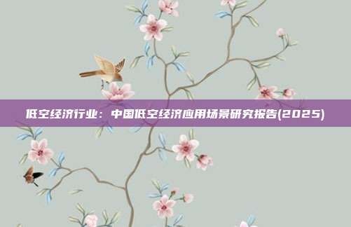 低空经济行业：中国低空经济应用场景研究报告(2025)