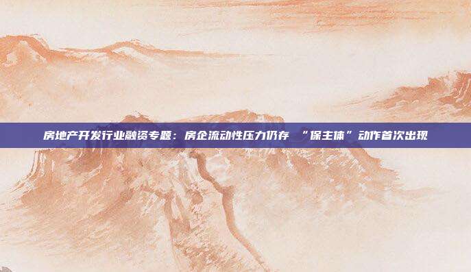 房地产开发行业融资专题:房企流动性压力仍存 “保主体”动作首次出现