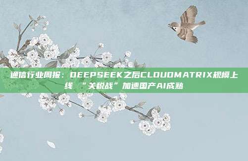 通信行业周报:DEEPSEEK之后CLOUDMATRIX规模上线 “关税战”加速国产AI成熟