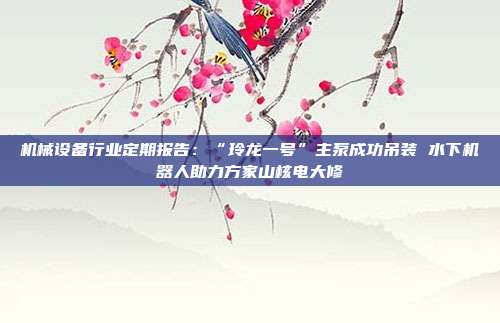机械设备行业定期报告:“玲龙一号”主泵成功吊装 水下机器人助力方家山核电大修