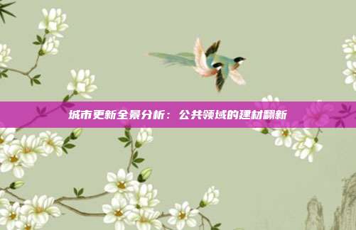 城市更新全景分析:公共领域的建材翻新
