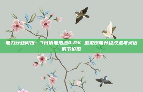 电力行业周报:3月用电增速4.8% 重视煤电升级改造与灵活调节价值