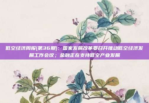 低空经济周报(第36期):国家发展改革委召开推动低空经济发展工作会议;金融正在支持低空产业发展