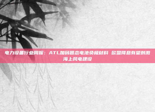 电力设备行业周报:ATL加码固态电池负极材料 欧盟降息有望刺激海上风电建设
