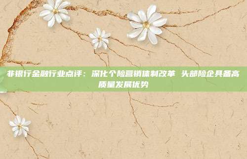 非银行金融行业点评:深化个险营销体制改革 头部险企具备高质量发展优势