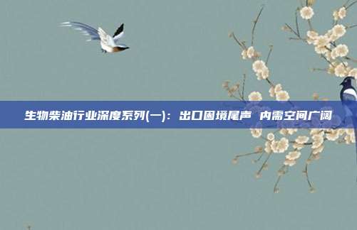 生物柴油行业深度系列(一):出口困境尾声 内需空间广阔