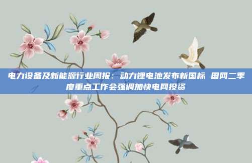 电力设备及新能源行业周报：动力锂电池发布新国标 国网二季度重点工作会强调加快电网投资