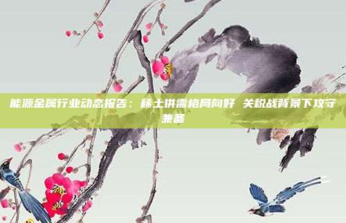 能源金属行业动态报告:稀土供需格局向好 关税战背景下攻守兼备