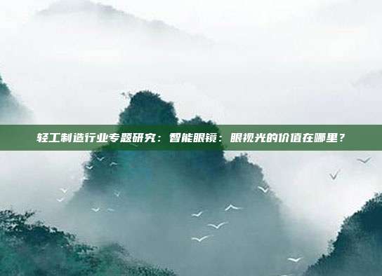 轻工制造行业专题研究:智能眼镜:眼视光的价值在哪里?