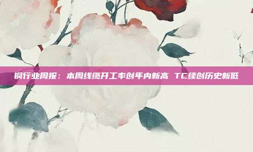 铜行业周报:本周线缆开工率创年内新高 TC续创历史新低