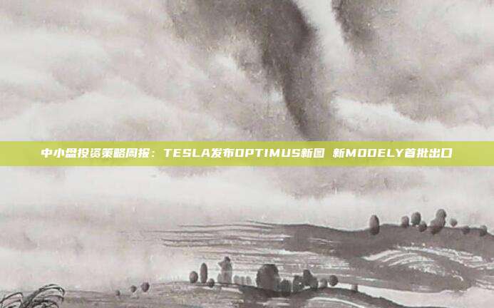 中小盘投资策略周报:TESLA发布OPTIMUS新图 新MODELY首批出口