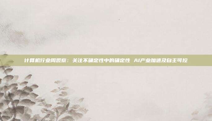 计算机行业周观察:关注不确定性中的确定性 AI产业加速及自主可控