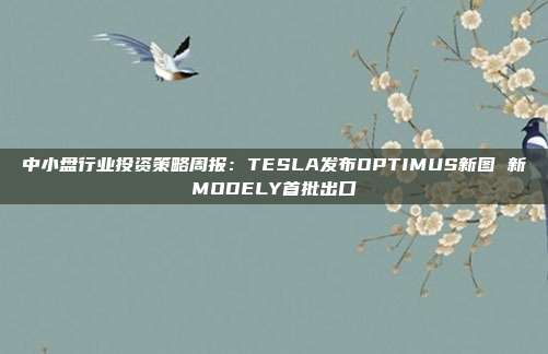 中小盘行业投资策略周报:TESLA发布OPTIMUS新图 新MODELY首批出口