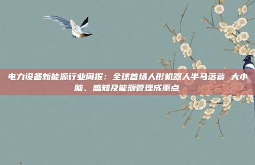 电力设备新能源行业周报:全球首场人形机器人半马落幕 大小脑、感知及能源管理成重点