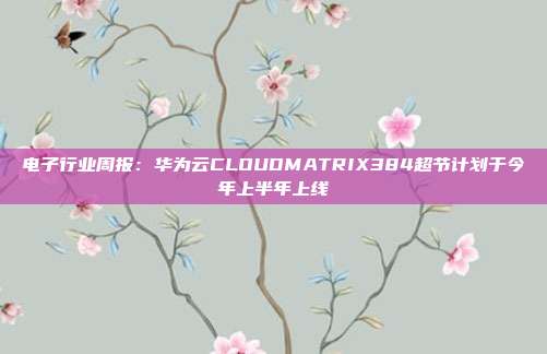 电子行业周报:华为云CLOUDMATRIX384超节计划于今年上半年上线