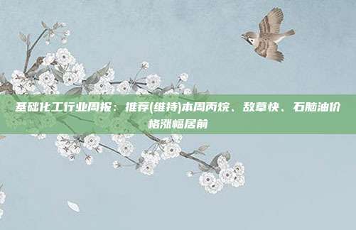 基础化工行业周报:推荐(维持)本周丙烷、敌草快、石脑油价格涨幅居前