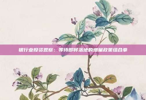 银行业投资观察:等待即将落地的增量政策组合拳