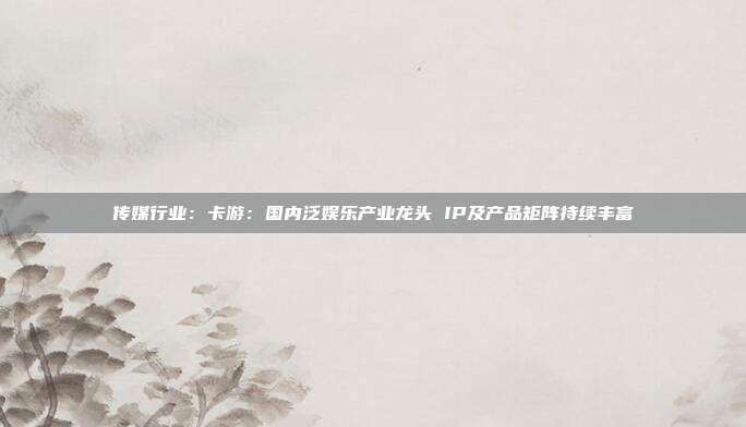 传媒行业:卡游:国内泛娱乐产业龙头 IP及产品矩阵持续丰富