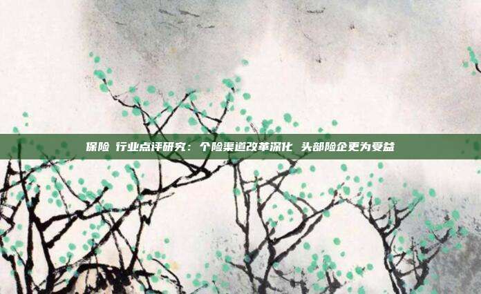 保险Ⅱ行业点评研究:个险渠道改革深化 头部险企更为受益