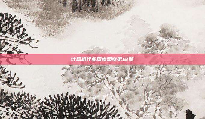 计算机行业周度观察第12期
