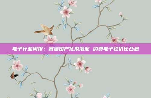 电子行业周报:高端国产化浪潮起 消费电子性价比凸显