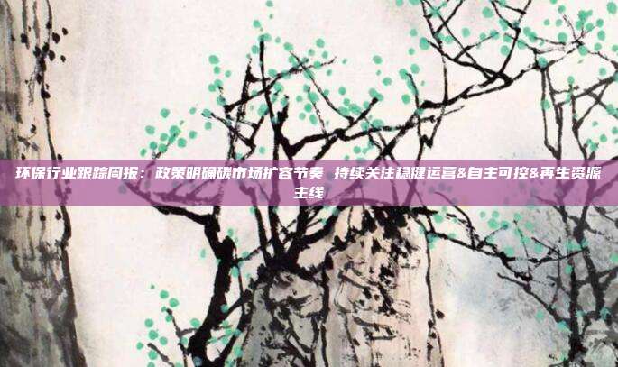 环保行业跟踪周报:政策明确碳市场扩容节奏 持续关注稳健运营&自主可控&再生资源主线
