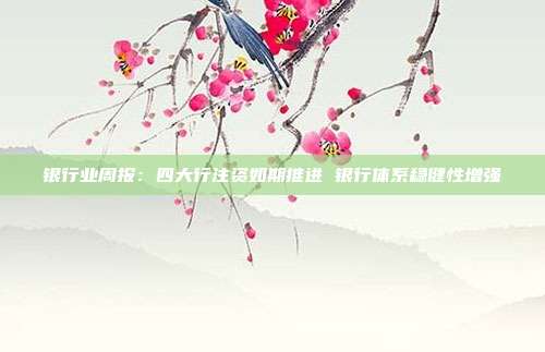 银行业周报:四大行注资如期推进 银行体系稳健性增强