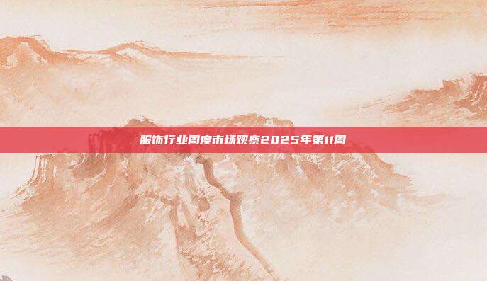 服饰行业周度市场观察2025年第11周