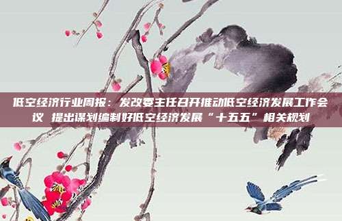 低空经济行业周报:发改委主任召开推动低空经济发展工作会议 提出谋划编制好低空经济发展“十五五”相关规划