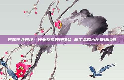 汽车行业月报:行业整体表现强劲 自主品牌占比持续提升