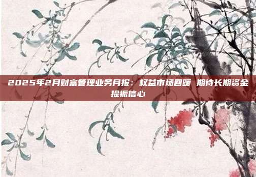 2025年2月财富管理业务月报:权益市场回暖 期待长期资金提振信心