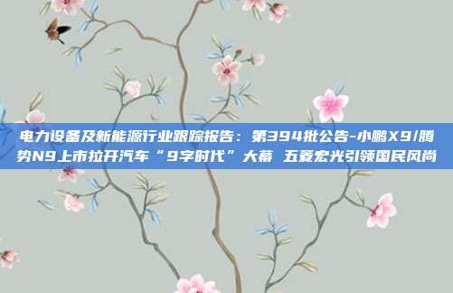 电力设备及新能源行业跟踪报告:第394批公告-小鹏X9/腾势N9上市拉开汽车“9字时代”大幕 五菱宏光引领国民风尚