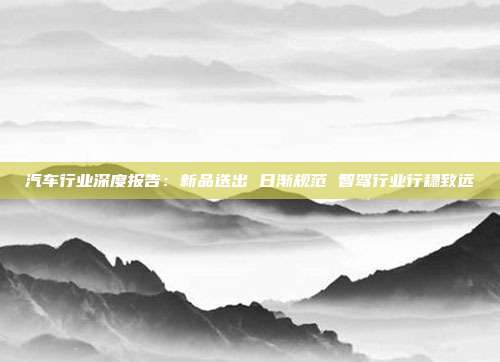 汽车行业深度报告:新品迭出 日渐规范 智驾行业行稳致远