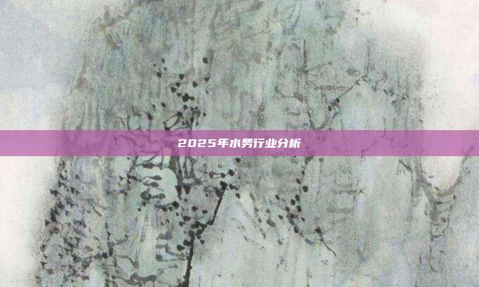 2025年水务行业分析