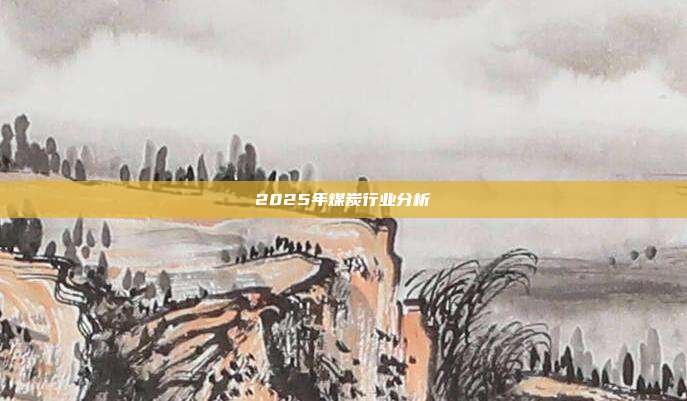 2025年煤炭行业分析