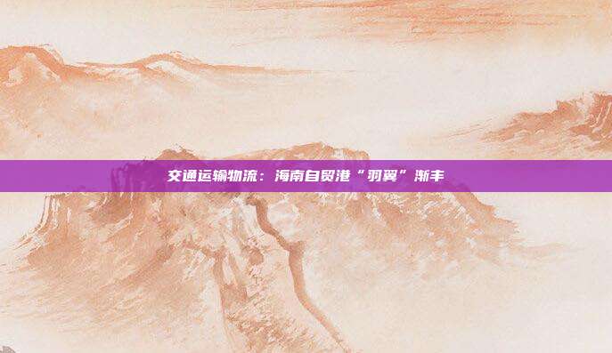 交通运输物流:海南自贸港“羽翼”渐丰