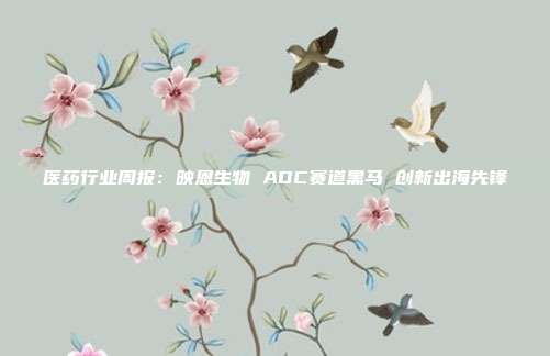 医药行业周报:映恩生物 ADC赛道黑马 创新出海先锋