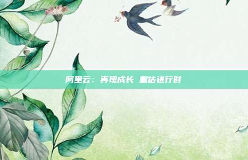 阿里云:再现成长 重估进行时
