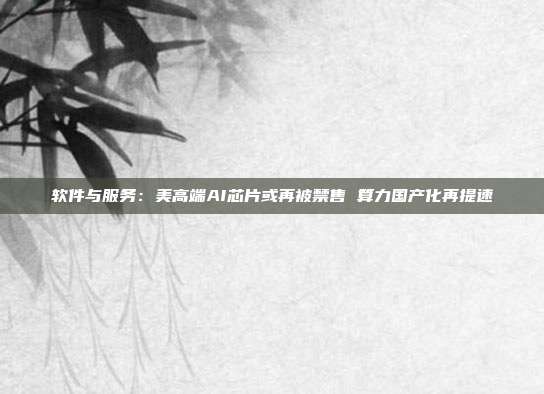 软件与服务:美高端AI芯片或再被禁售 算力国产化再提速