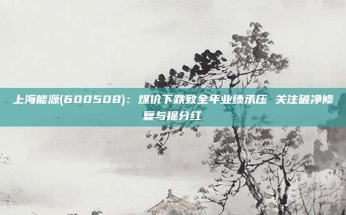 上海能源(600508):煤价下跌致全年业绩承压 关注破净修复与提分红