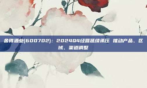 舍得酒业(600702):2024Q4经营延续承压 推动产品、区域、渠道调整