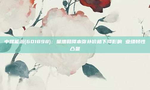 中煤能源(601898):量增和降本弥补价格下降影响 业绩韧性凸显