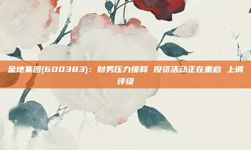 金地集团(600383):财务压力缓释 投资活动正在重启 上调评级