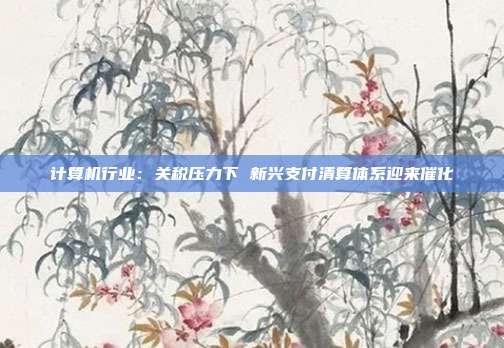 计算机行业:关税压力下 新兴支付清算体系迎来催化