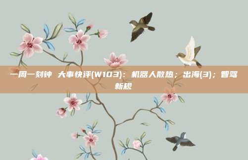 一周一刻钟 大事快评(W103):机器人散热;出海(3);智驾新规