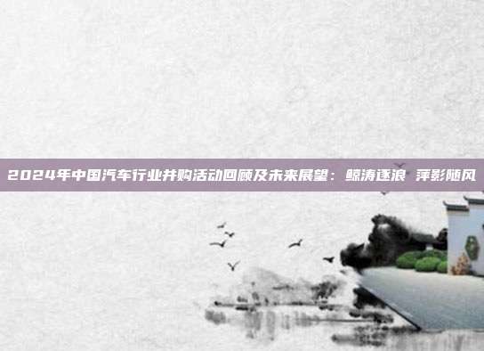 2024年中国汽车行业并购活动回顾及未来展望：鲸涛逐浪 萍影随风