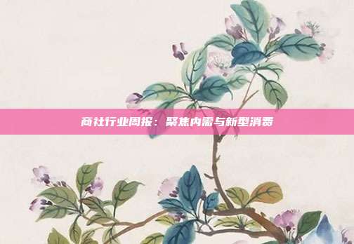 商社行业周报:聚焦内需与新型消费